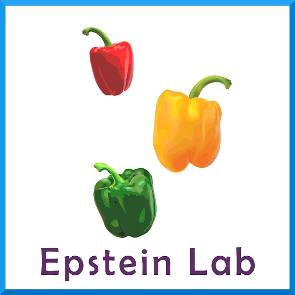 Epstein Lab